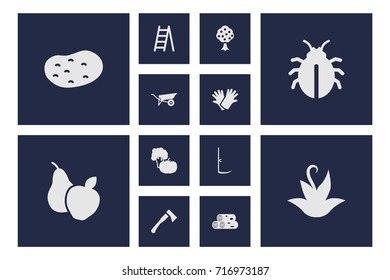 Set Of 12 Household Icons Set.Collection Of Plant, Staircase, Cutter And Other Elements.