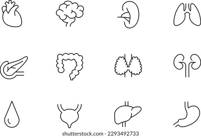 Conjunto de 12 íconos con diferentes órganos del cuerpo humano