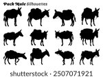 Set of 12 item pack mule silhouette vector illustration