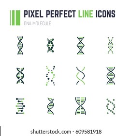 Set of 12 line style DNA molecule icons. Double helix molecule. Linear flat vector illustration. Biotech icons, medecine or science logo. Genetics sign