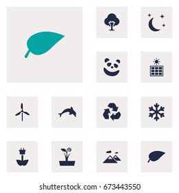 Set Of 12 Natural Icons Set.Collection Of Winter Snow, Flowerpot, Foliage And Other Elements.