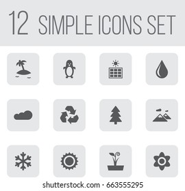 Set Of 12 Nature Icons Set.Collection Of Polar Bird, Bloom, Isle Beach And Other Elements.