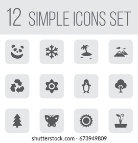 Set Of 12 Nature Icons Set.Collection Of Isle Beach, Polar Bird, Solar And Other Elements.