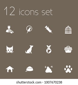 Set of 12 pets icons set. Collection of caw, sitting, puppy and other elements.