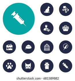 Set Of 12 Pets Icons Set.Collection Of Sitting, Rat, Birdcage And Other Elements.