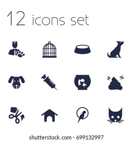Set Of 12 Pets Icons Set.Collection Of Veterinarian, Head, Pile And Other Elements.