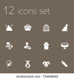 Set Of 12 Pets Icons Set.Collection Of Injection, Medallion, Pet Crate And Other Elements.