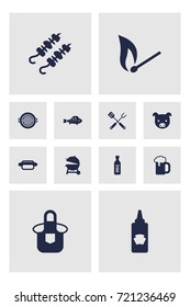 Set Of 12 Picnic Icons Set.Collection Of Bbq Sauce, Grill Top View, Matchstick And Other Elements.