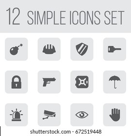 Set Of 12 Procuring Icons Set.Collection Of Insurance, Protection, Key And Other Elements.