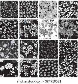 Set 12 retro seamless  pattern flower et floral texture background