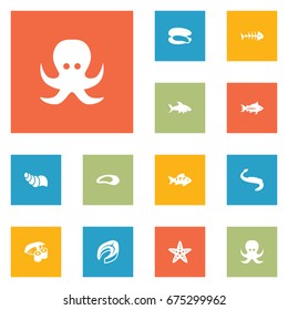 Set Of 12 Sea Icons Set.Collection Of Devilfish, Beefsteak, Shark And Other Elements.
