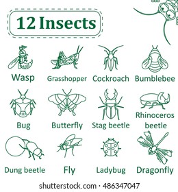 Set of 12 sketches of insects on a white background. Only the outline stroke. Logos for a company that studies the insects or engaged in their destruction. Vector Illustration