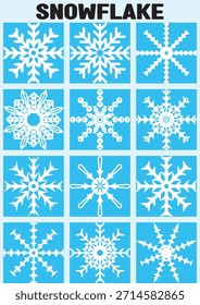 Set of 12 Snowflake Design Flat Snow Collection Vector