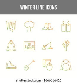 Set of 12 Unique Winter Vector Icons 	