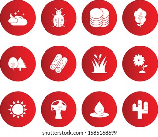 Set of 12 Universal Pixel Perfect Icons for your project
