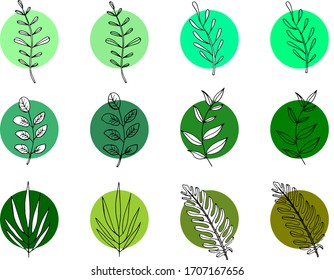 a set of 12 vector drawings of leaves, two in each variation, one with a cut-out area, the other without.