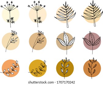 a set of 12 vector drawings of leaves, two in each variation, one with a cut-out area, the other without. shades of brown