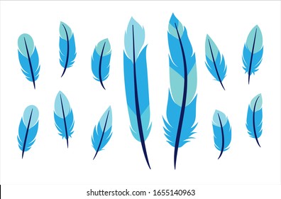 set of 12 vector feathers