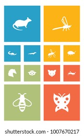 Set of 12 zoology icons set. Collection of dragonfly, grasshopper, rat and other elements.