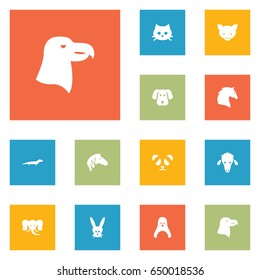 Set Of 12 Zoology Icons Set.Collection Of Aquila, Pussy, Horse And Other Elements.