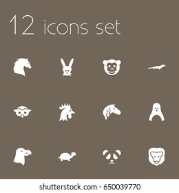 Set Of 12 Zoology Icons Set.Collection Of Ape, Gecko, Tortoise And Other Elements.