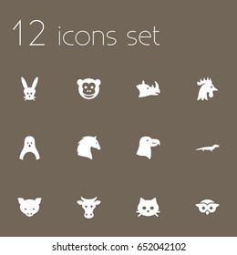 Set Of 12 Zoology Icons Set.Collection Of Pussy, Steed, Gecko And Other Elements.