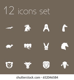 Set Of 12 Zoology Icons Set.Collection Of Diver, Ape, Camelopard And Other Elements.