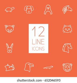 Set Of 12 Zoology Outline Icons Set.Collection Of Lizard, Rabbit, Turtle And Other Elements.
