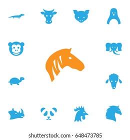 Set Of 13 Alive Icons Set.Collection Of Hog, Diver, Rhinoceros And Other Elements.