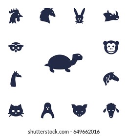 Set Of 13 Alive Icons Set.Collection Of Bunny, Ape, Lamb And Other Elements.