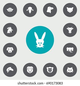 Set Of 13 Alive Icons Set.Collection Of Rooster, Night Fowl, Ape And Other Elements.
