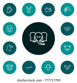Set Of 13 Alive Outline Icons Set.Collection Of Feline Bear, Mammal, Rabbit And Other Elements.