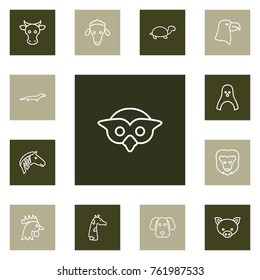 Set Of 13 Animal Outline Icons Set.Collection Of Pig, Dog, Owl And Other Elements.