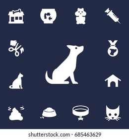 Set Of 13 Animals Icons Set.Collection Of Neckband , Food , Store Elements.