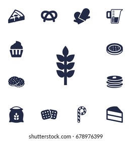 Set Of 13 Bakery Icons Set.Collection Of Striped Lollipop, Muffin, Cake And Other Elements.