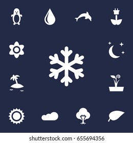 Set Of 13 Bio Icons Set.Collection Of Winter Snow, Flowerpot, Green Power And Other Elements.
