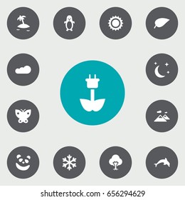 Set Of 13 Bio Icons Set.Collection Of Winter Snow, Isle Beach, Bear And Other Elements.