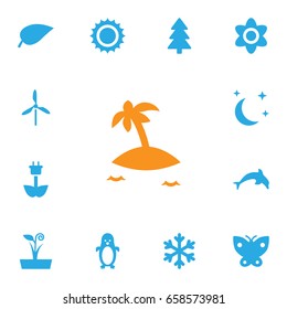 Set Of 13 Bio Icons Set.Collection Of Bloom, Spruce, Grampu And Other Elements.