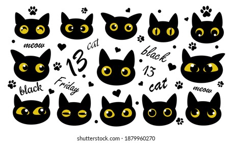 13 black cats