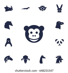 Set Of 13 Brute Icons Set.Collection Of Bunny, Bear, Gecko And Other Elements.