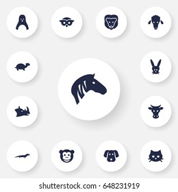 Set Of 13 Brute Icons Set.Collection Of Pussy, Lamb And Other Elements.