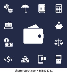 Set Of 13 Budget Icons Set.Collection Of Umbrella, Terminal, Piggy Bank And Other Elements.