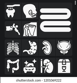 Set of 13 care filled icons such as colon, salivary glands, bladder, stomach, adrenal gland, vertebra, shoulder, sternum, kidney, clean car, toothbrush, towel