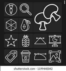 Set of 13 collection outline icons such as photo, search, tag, pie chart, coffee cup, pear, mushroom, pineapple, , cube