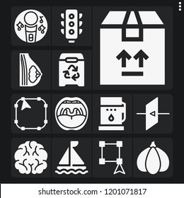 Set of 13 concept filled icons such as brain, karaoke, breast, mouth, garlic, select, exit, , sailing boat, fuel, package, traffic light