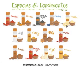 Set of 13 different culinary species and condiments in cartoon style. Set 1 of 2. Spanish names.