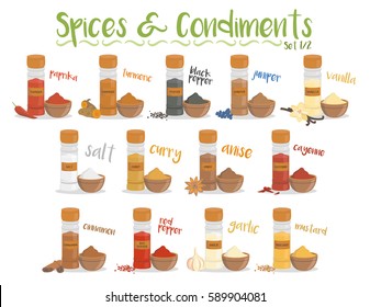 Set of 13 different culinary species and condiments in cartoon style. Set 1 of 2