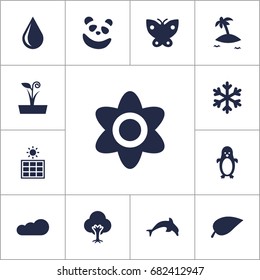 Set Of 13 Ecology Icons Set.Collection Of Moth, Isle Beach, Bear And Other Elements.