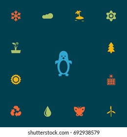 Set Of 13 Ecology Icons Set.Collection Of Polar Bird, Moth, Solar And Other Elements.