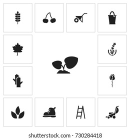 Set Of 13 Editable Agriculture Icons. Includes Symbols Such As Frond, Bio, Footwear And More. Can Be Used For Web, Mobile, UI And Infographic Design.